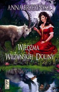 Fantastyka - Książka - Wiedźma z wilżyńskiej doliny