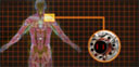 Gry cRPG - Przewodnik - Mass Effect 2 - Ulepszenia - Prototypy - Ciężki splot mięśni