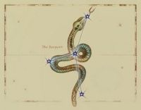 TES IV: Oblivion - Znaki zodiaku - Wąż