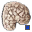 Wiedźmin - Składniki Aether - Tkanka mózgowa utopca