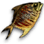 Gry cRPG - Przewodnik - Wiedźmin 3: Dziki Gon - Ekwipunek - Jedzenie - Suszona ryba