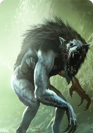 Gry cRPG - Przewodnik - Wiedźmin 3: Dziki Gon - Gwint - Karty - Potwory - Wilkołak