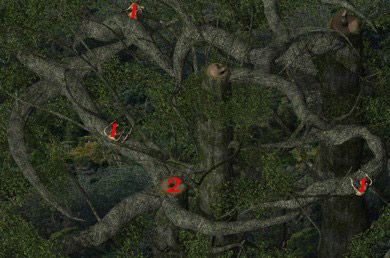 Baldur's Gate 2 - Solucja - Drzewo Życia